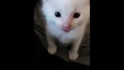 Medic is now CAT