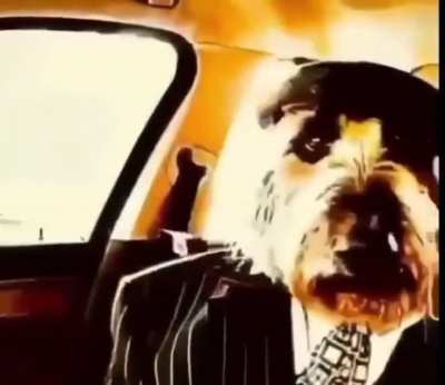 JOIN THE OMOSAPIANS