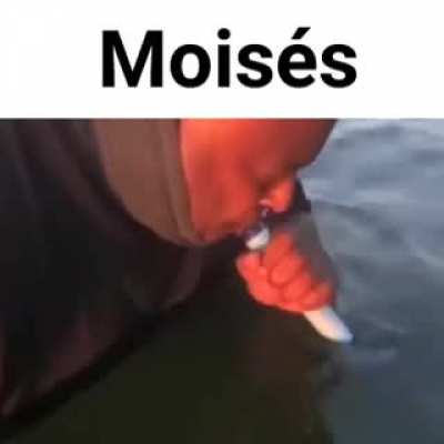 Moises