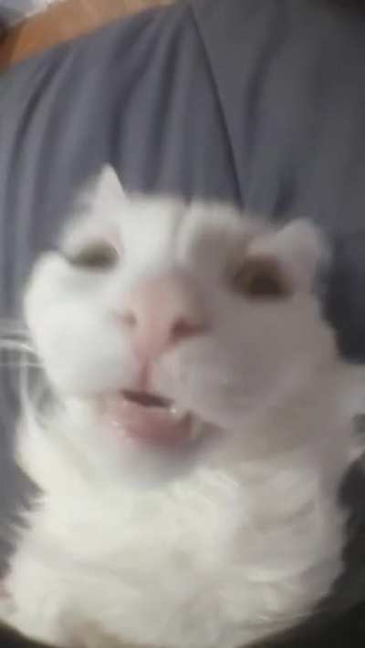 My talking angela