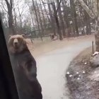 How every drunk in public looks