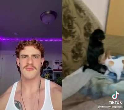 DAYUM