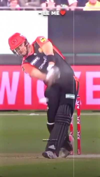 perfect yorker