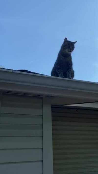 Mom sent me this; Gus had a lot of explaining to do…