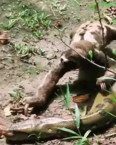 Да мне по*уй вообще