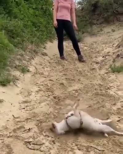 inverted zoomies