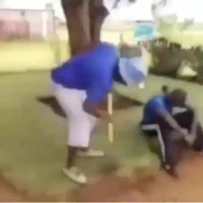 Bonk