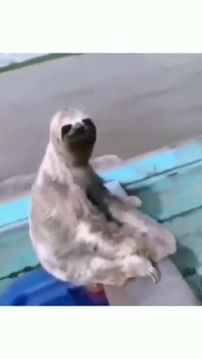 Amigo 👋