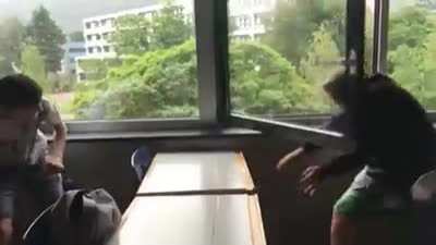 Two idiots demonstrating the feat of... I don't know