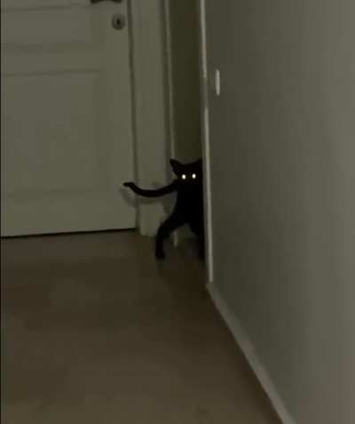 would be scared to see this at night
