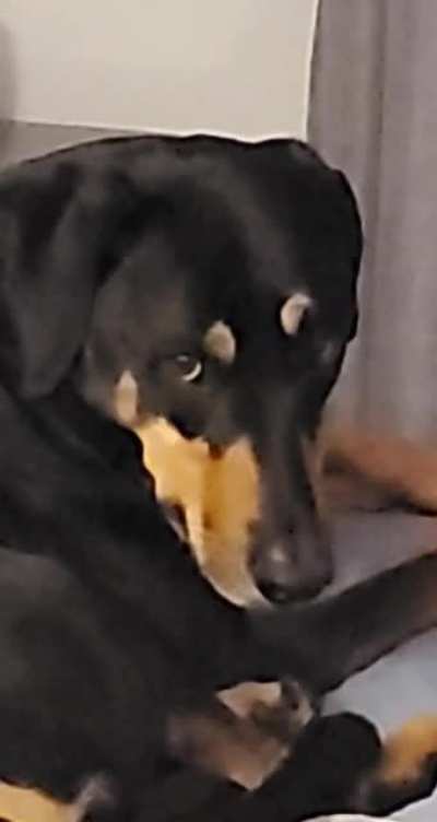 За что?