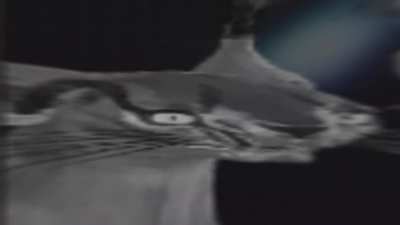 Gallium.mp4