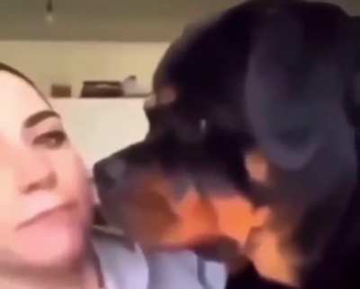 :3