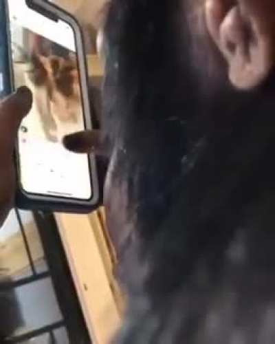 A chimpanzee using Instagram like an ordinary human