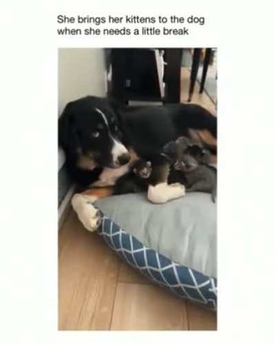 Sharing is caring