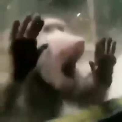 :(