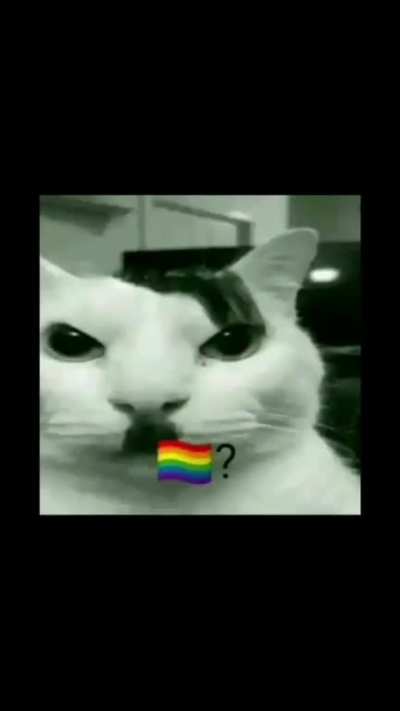 🏳️‍🌈?