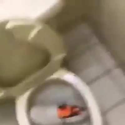 It came out of nowhere 