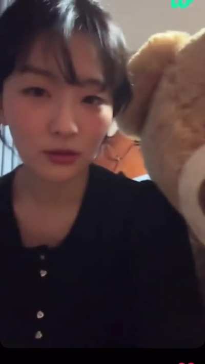 Seulgi bear
