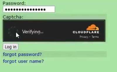 Losercity addict