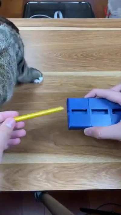 Magic box (shirahaha on youtube)