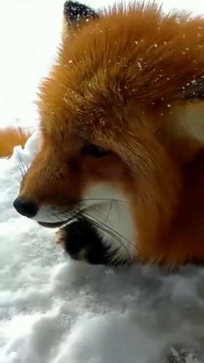 Sound On!
