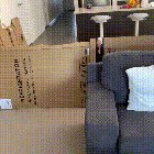 Tiny puppy sees hooman again