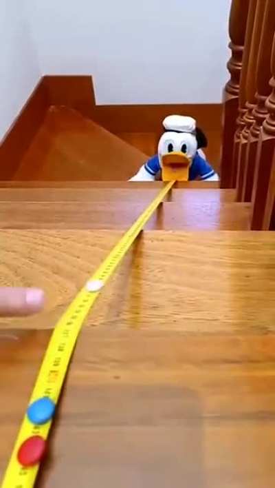 Donald Noms