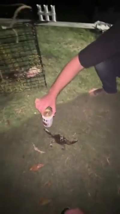 Give me the beeeerrrr!!!!