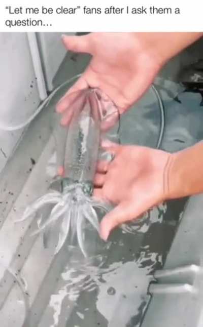 WhAT the fish doin?