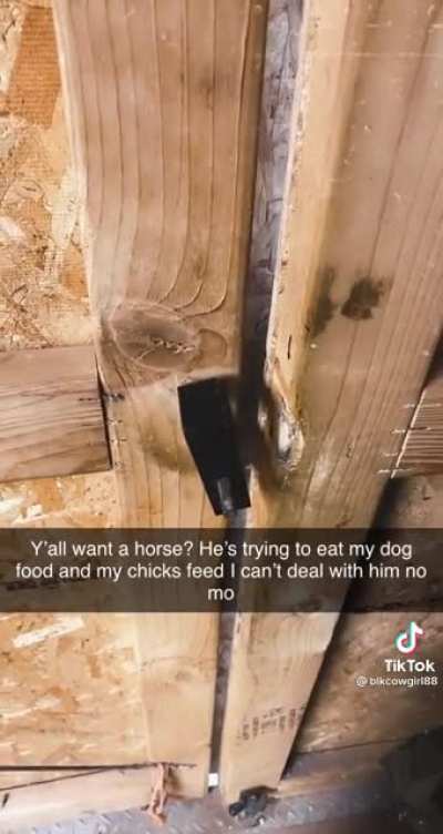 RUN!!