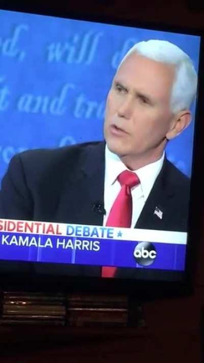 Hey look, this fly found a turd to land on.