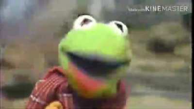 Rip kermit