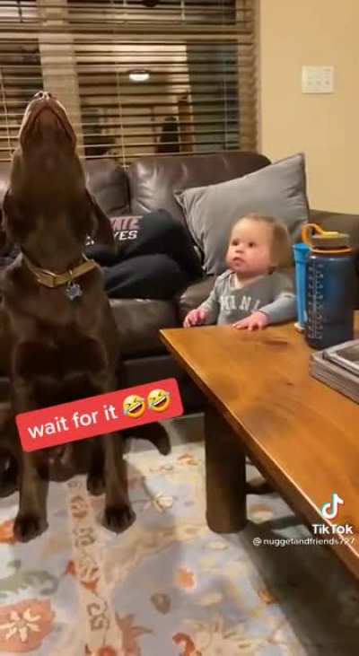 Awooo