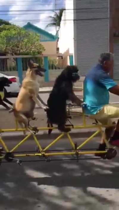 Bike club riding in the city