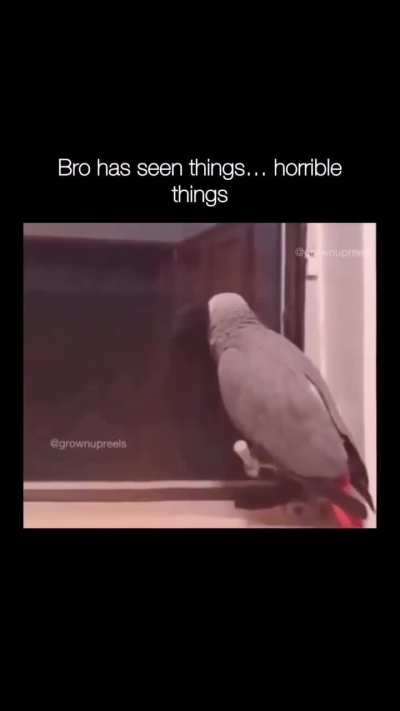 Suck
