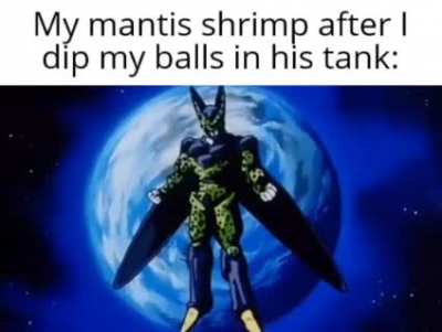 *glass shattering sound effect*