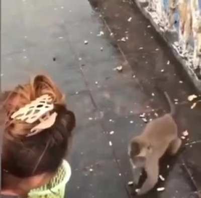Maybe next time