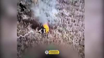 Ukrainian drone operators from the 