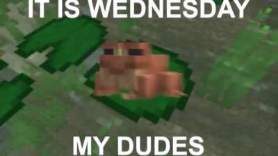 It is Wednesday my dudes (Warning: Strobe)