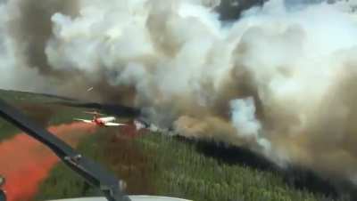 Aero tanker working on the wildfires