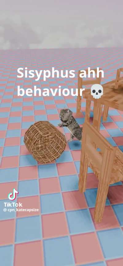 in my dream I saw my cat rolling a basket across the floor, and I took a video of it with the caption 