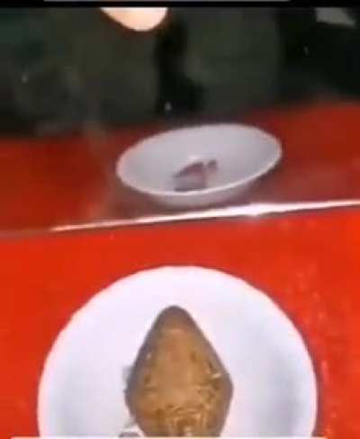 wordington object