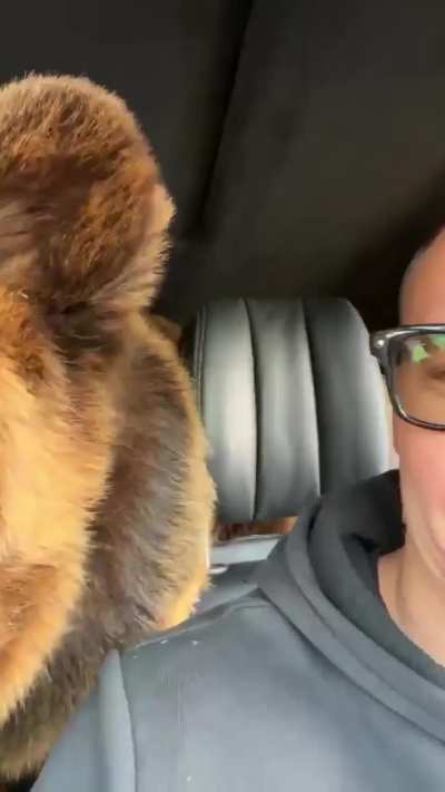 HMB while I hold my bear.