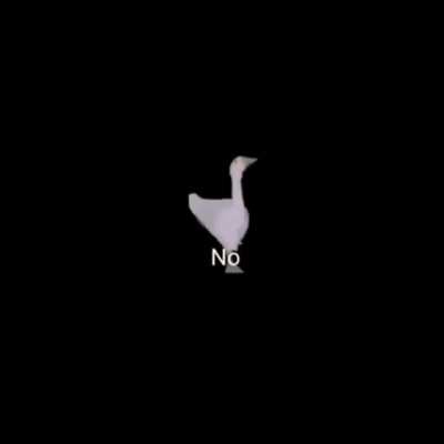 No