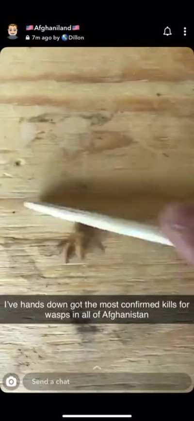 Older Brother is deployed in Afghanistan so he killed that fucker in the most appropriate way