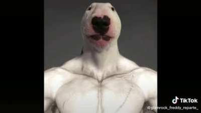 sis