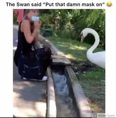 A good citizen