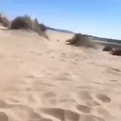 aaaaaaaaAAAAAAAAAAA-