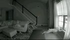 I think my dog had a crisis.